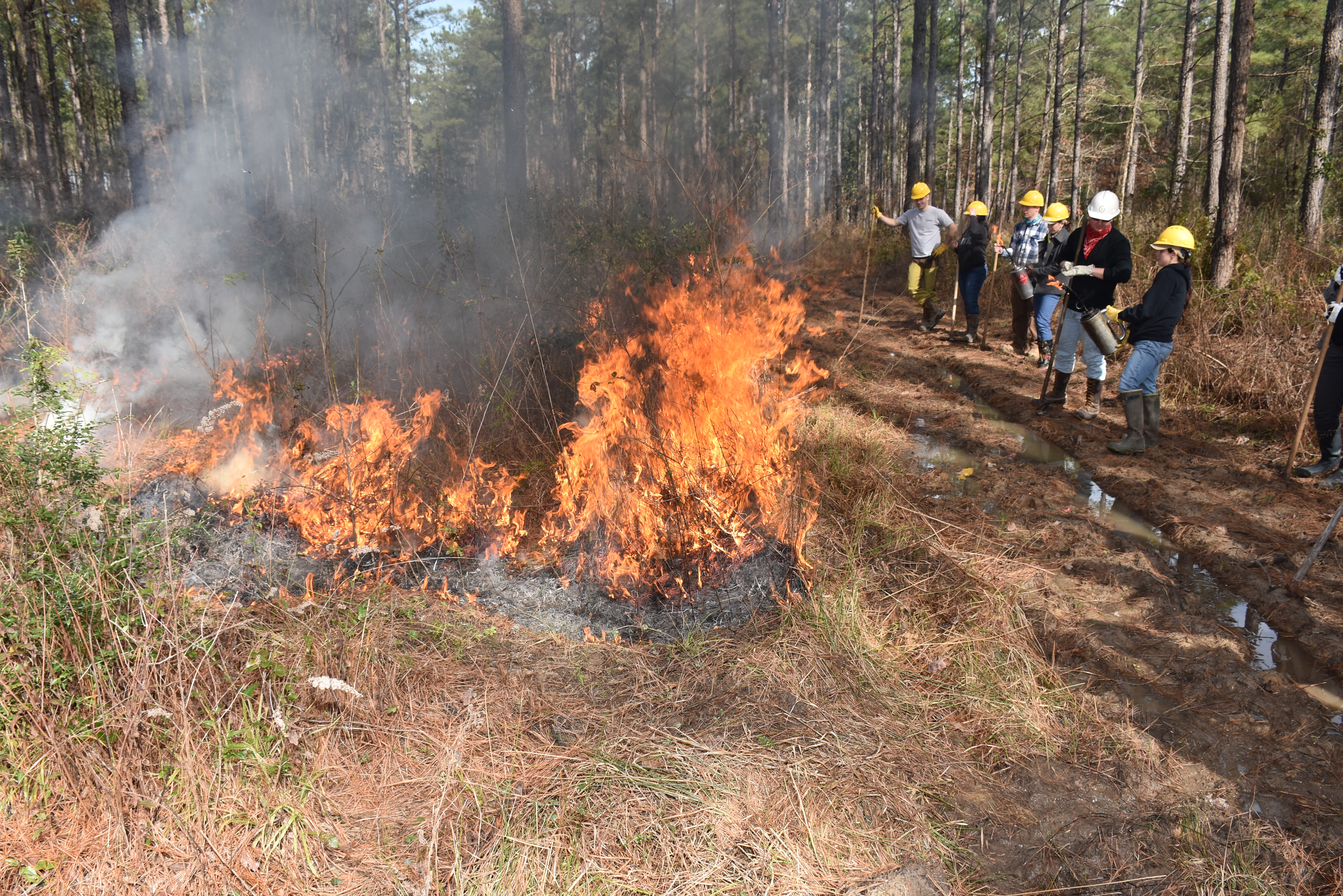 Prescribed burn workshop set for April 19-21 in Clinton